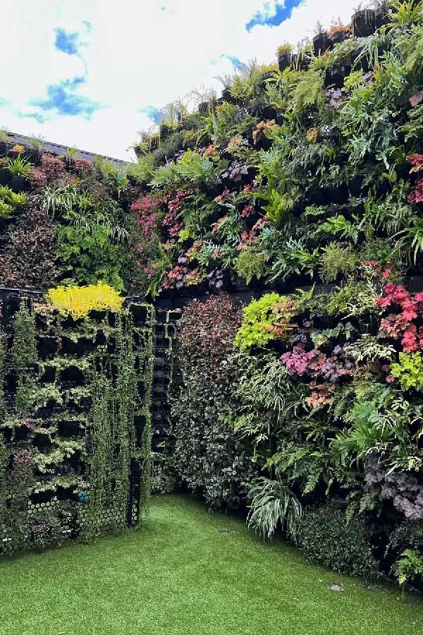 Grow Up with Vertical Gardens