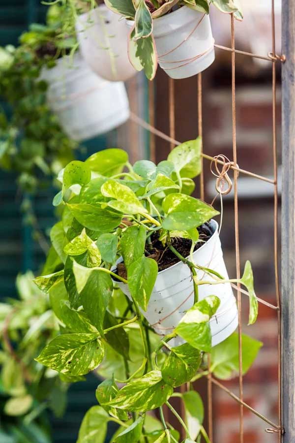 44 Back Patio Ideas on a Budget to Transform Small Outdoor Spaces 10 Start a Vertical Garden