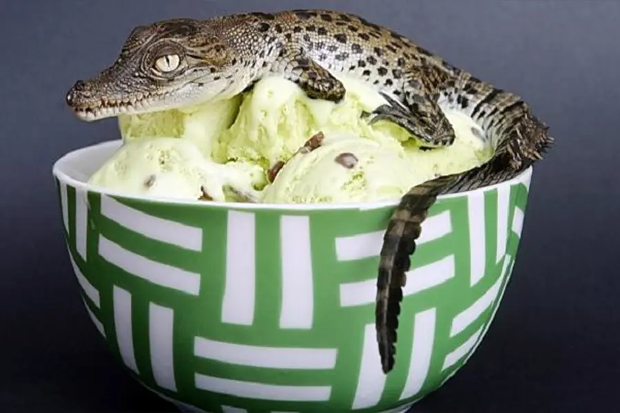 Crocodile Egg Ice Cream Craze