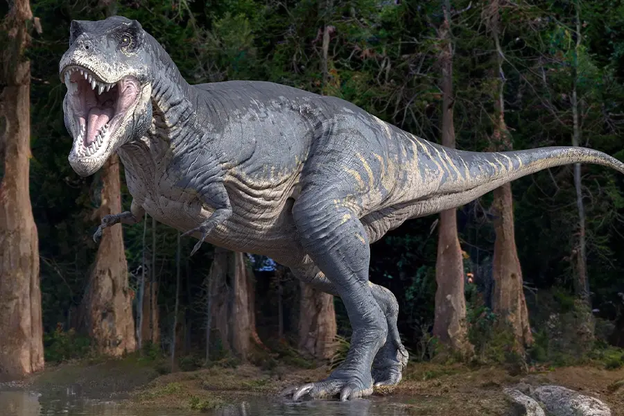 Dinosaurs