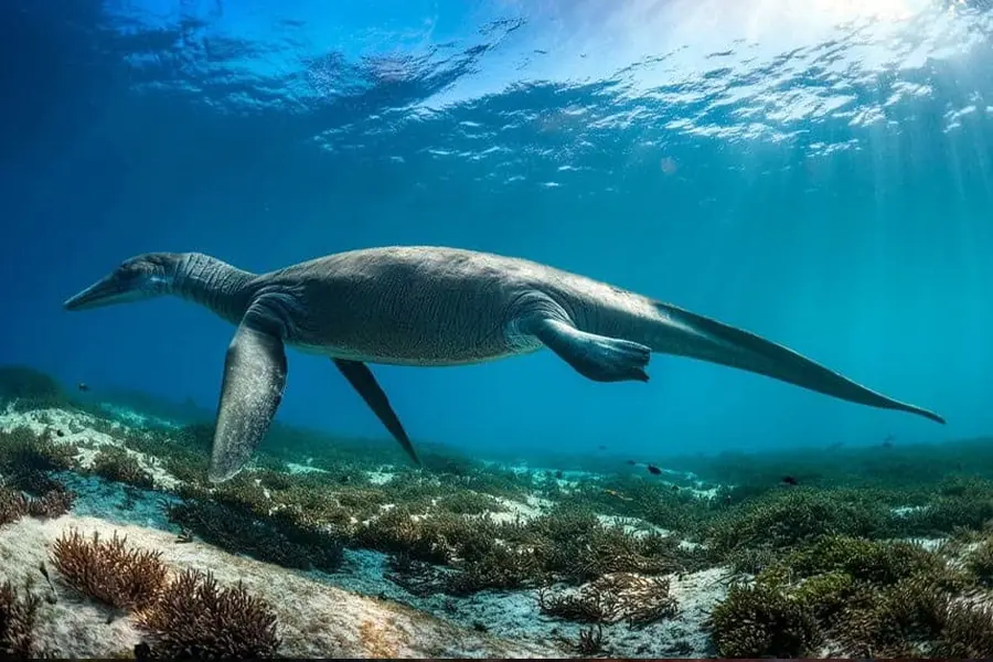 Plesiosaurs