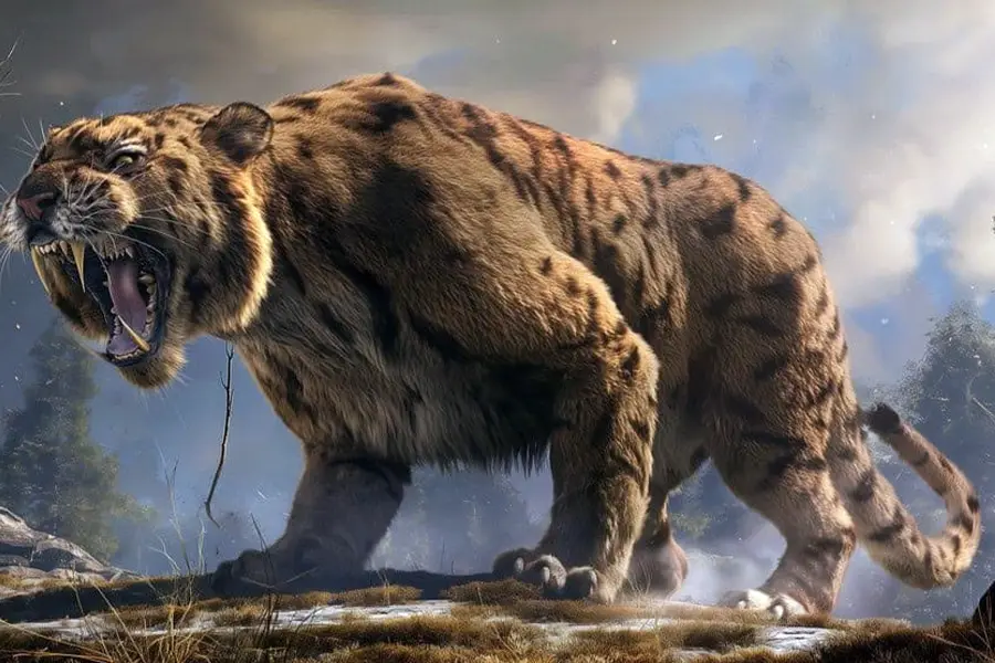 Saber-Toothed Cat