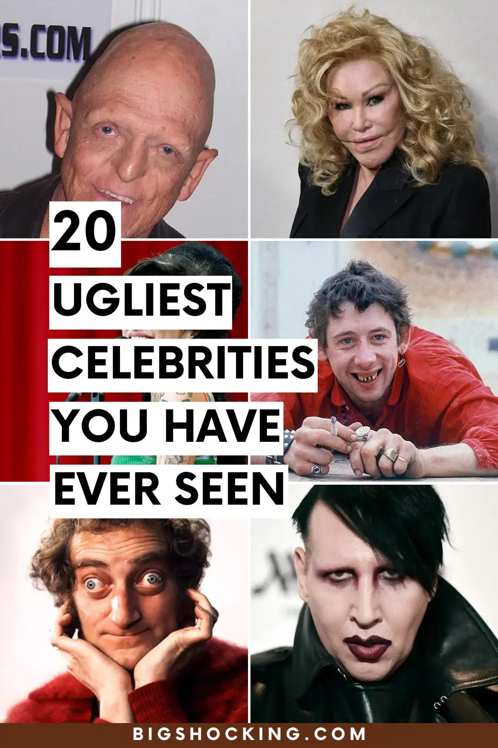 20 Ugliest Celebrities You Have Ever Seen