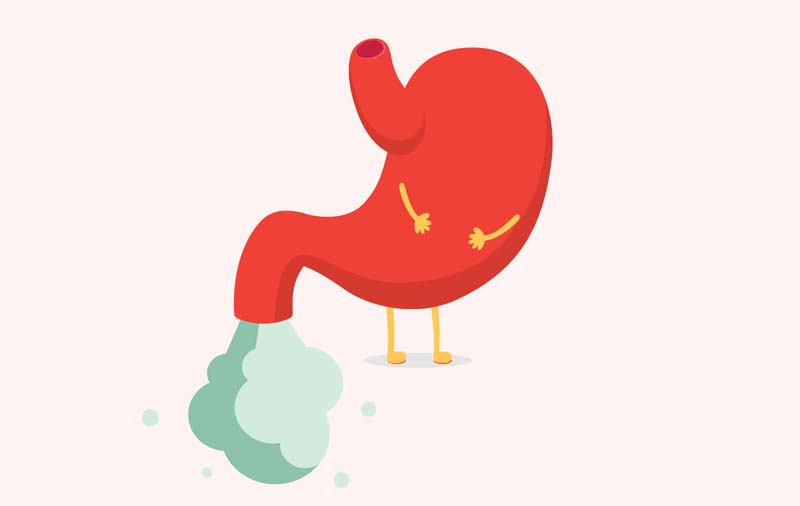 facts about fart