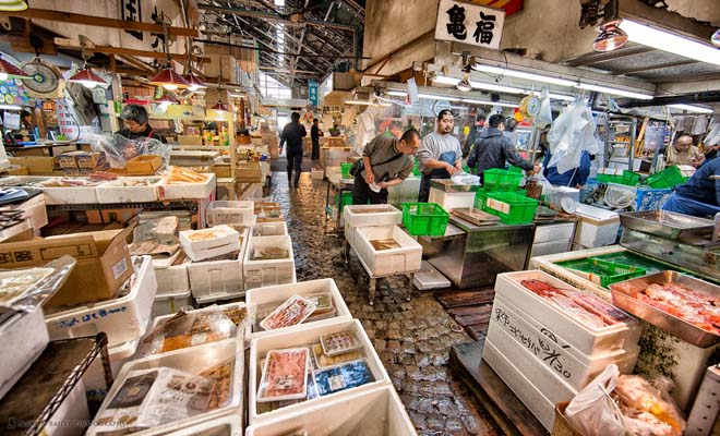 10 Amazing Fish Markets in the World