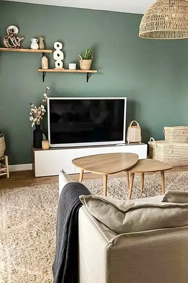 Cute Scandinavian Living Room With Green Accent