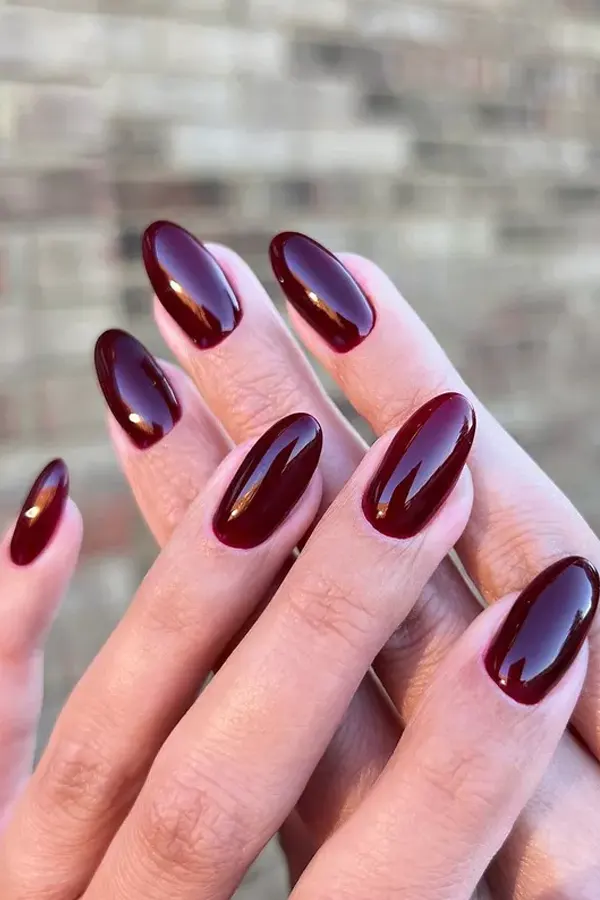 Deep Wine High Gloss Finish