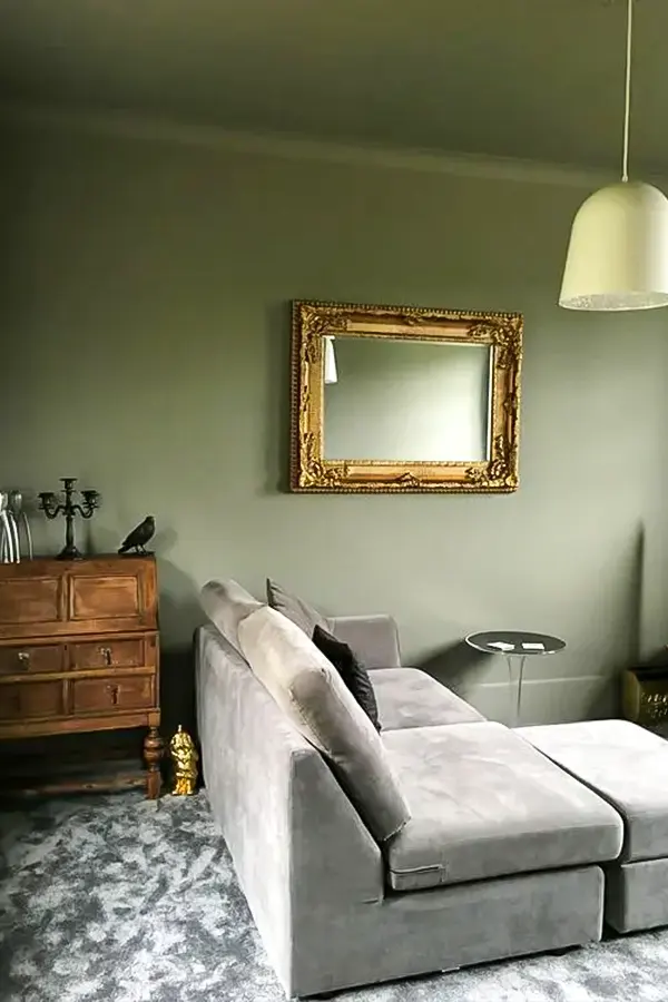 Elegant Olive Green Interior