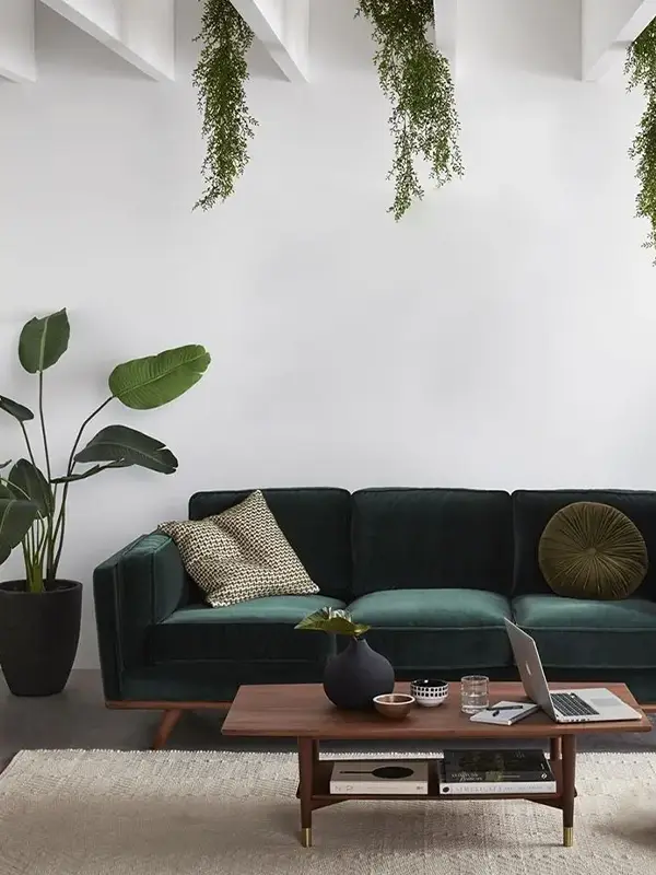 Japandi Living Room With Dark Green Sofa