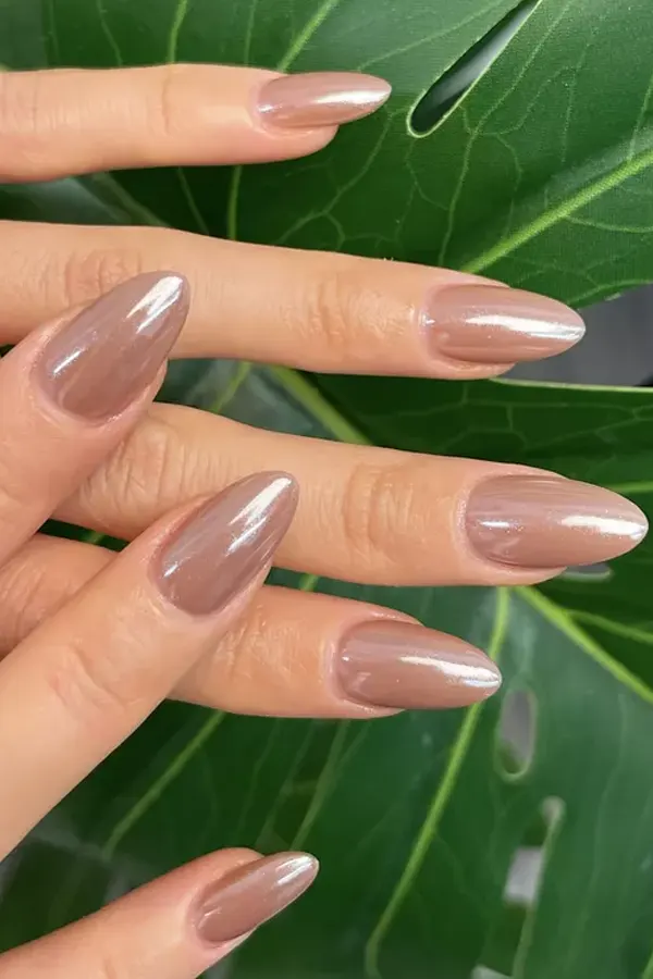 Light Brown Nails Idea