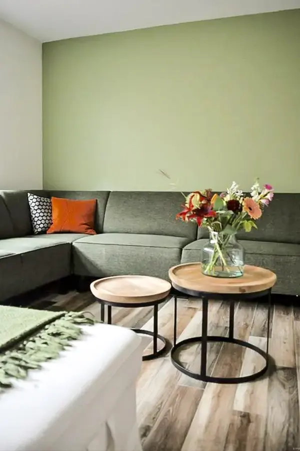 Minimal Living Room With Bold Green