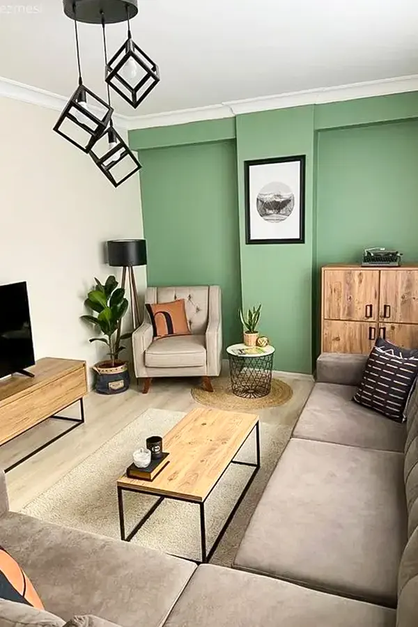 Modern Living Room With Green Accent