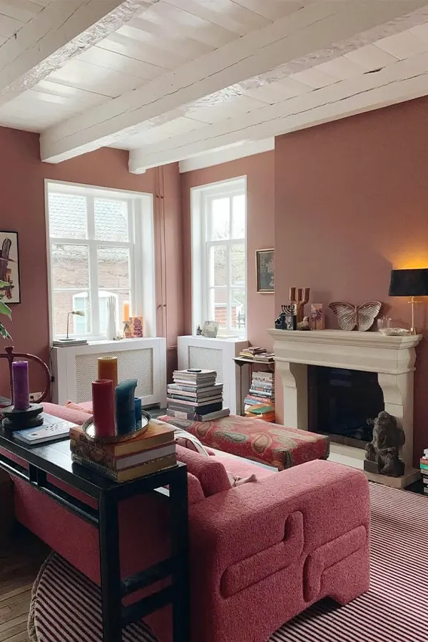 Moody Pink Living Room With Earthy Tones