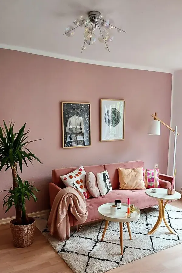 Pink Living Room With Accent Wall