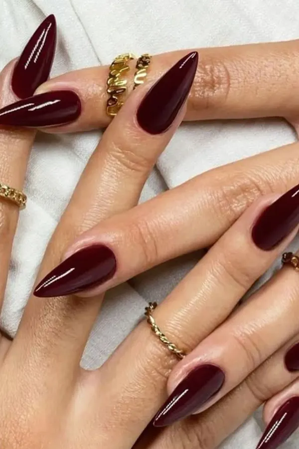 Rich and Sleek Nails