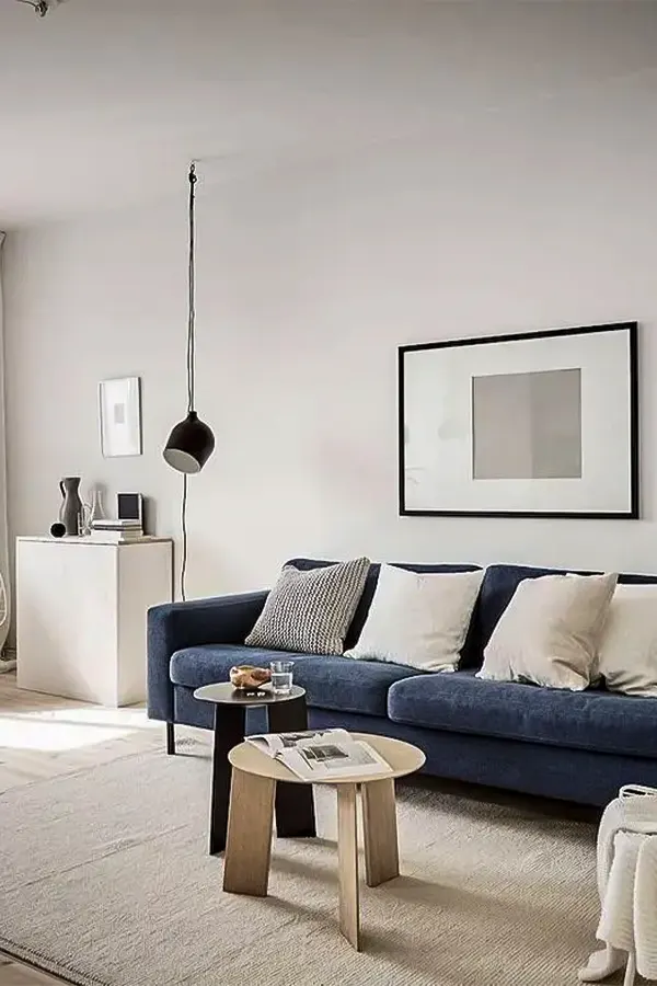 Scandinavian Blue White Living Room