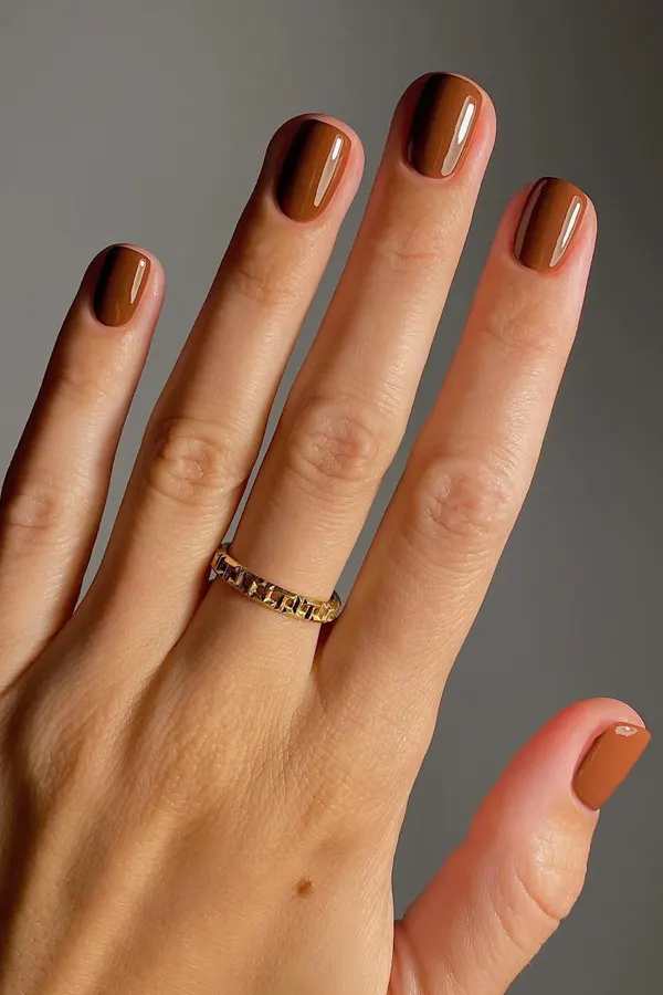 Simple Brown Short Nails Design