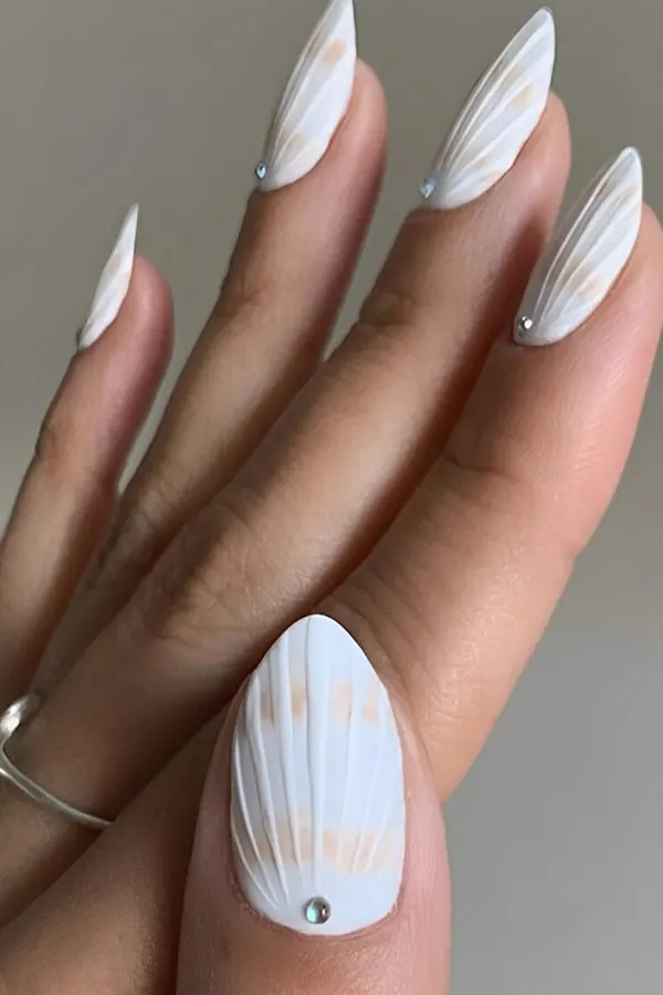 Neutral Seashell Lines