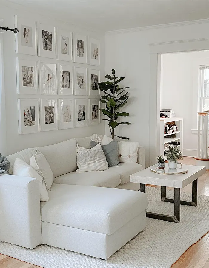 Relaxed White Living Room with Soft Touches